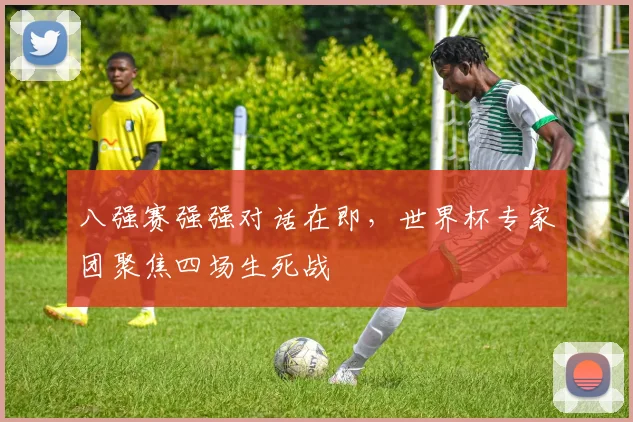 八强赛强强对话在即，世界杯专家团聚焦四场生死战
