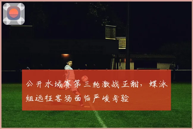 公开水域赛第三轮激战正酣，蝶泳组远征客场面临严峻考验 - 500彩票网