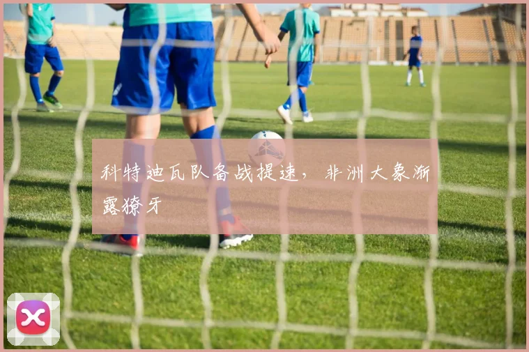 科特迪瓦队备战提速,非洲大象渐露獠牙