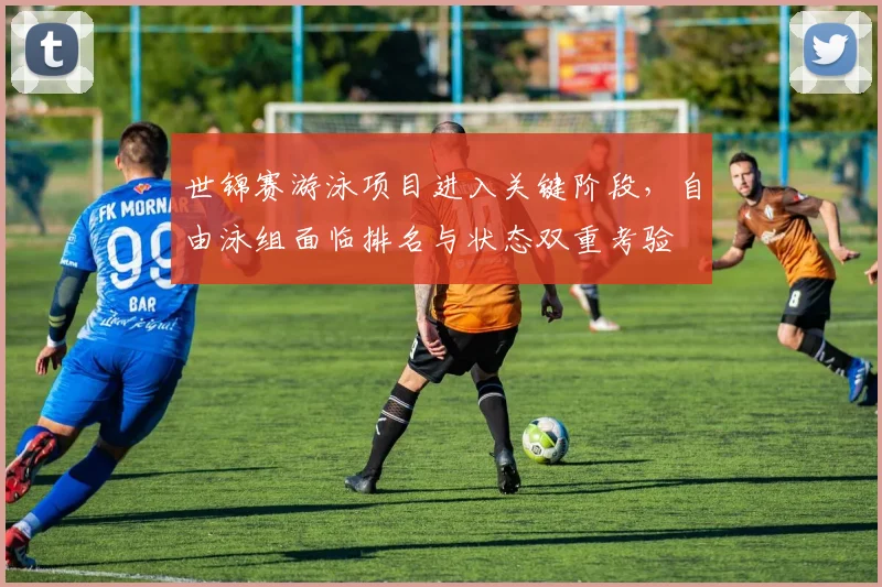 世锦赛游泳项目进入关键阶段，自由泳组面临排名与状态双重考验