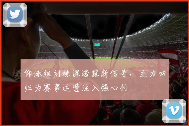 仰泳组训练课透露新信号，主力回归为赛事运营注入强心剂 - 500彩票网